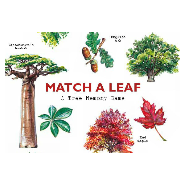Match A Leaf Memory Game