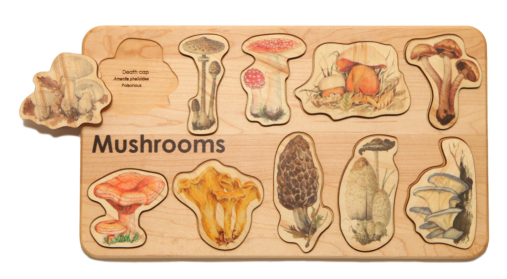 Mushroom Board Puzzle
