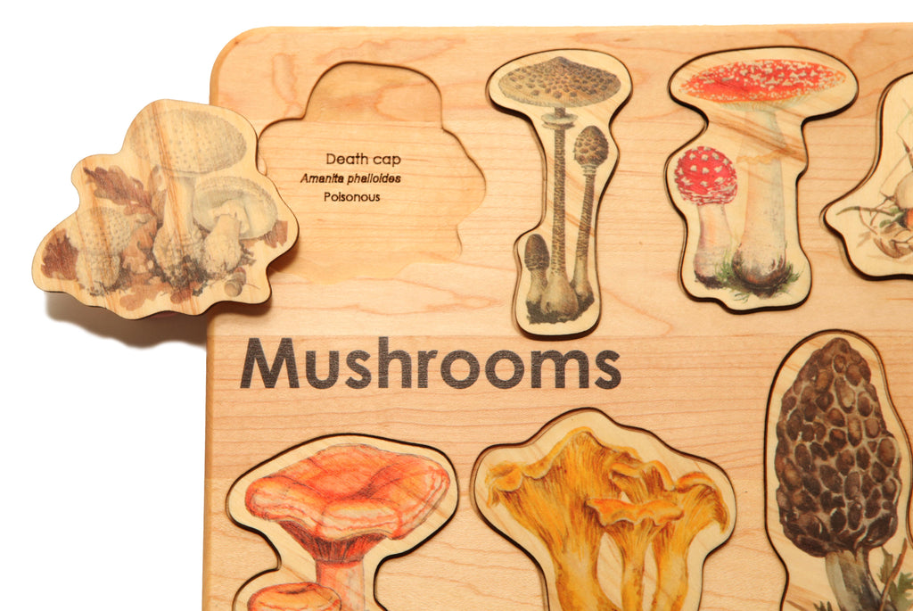 Mushroom Board Puzzle