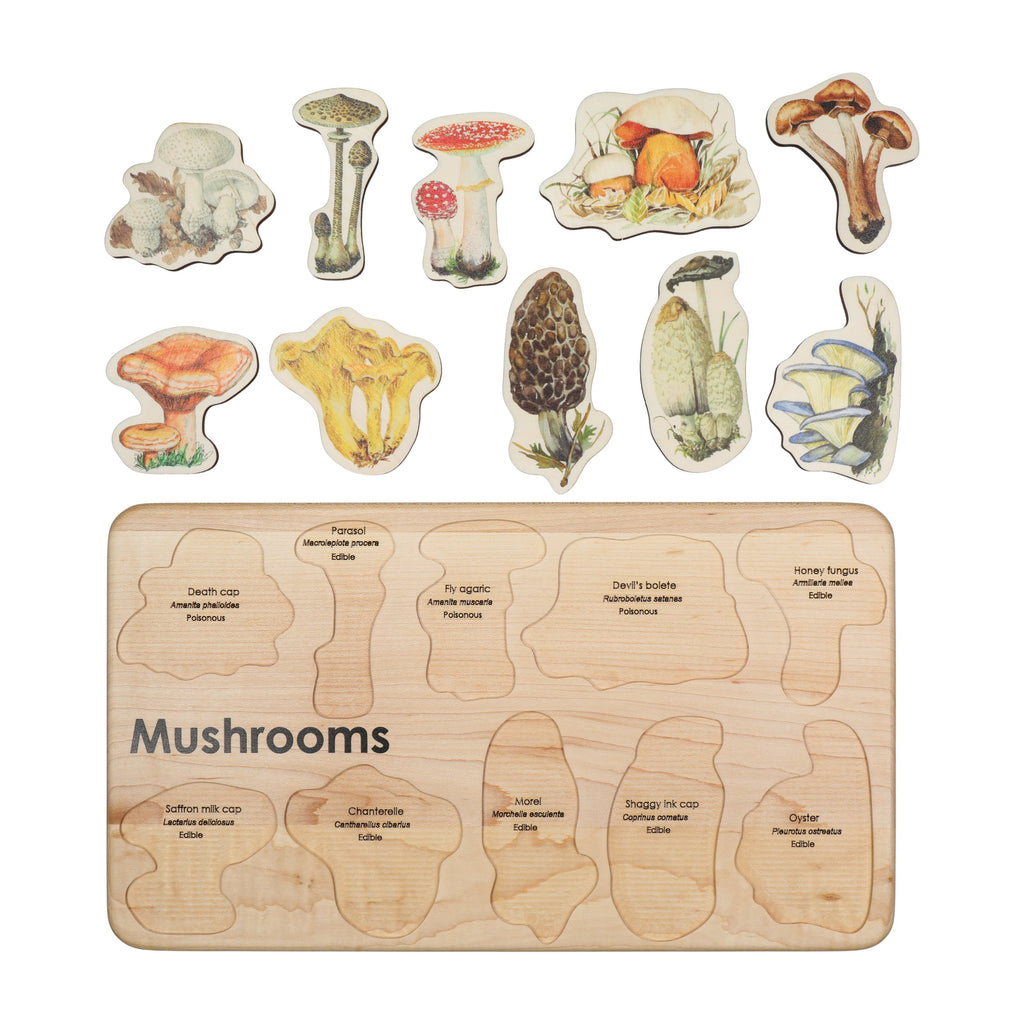 Mushroom Board Puzzle