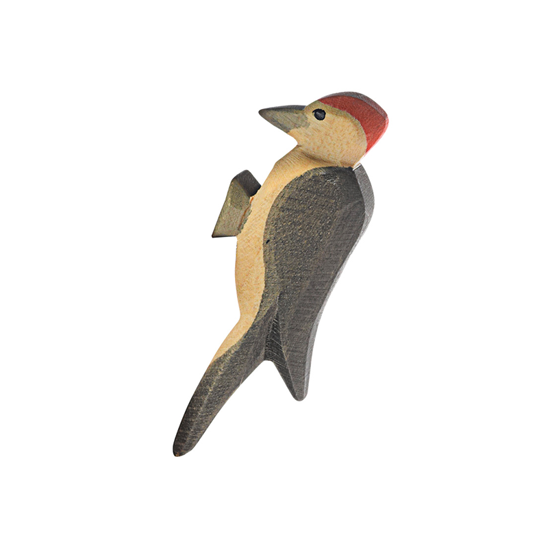 Ostheimer Woodpecker