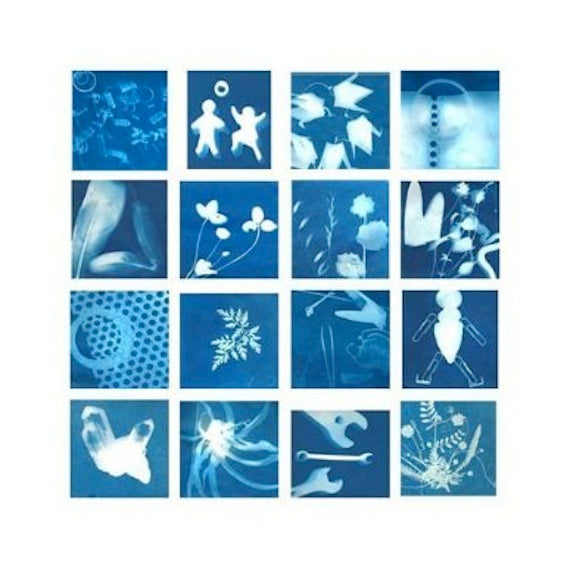 Sunprint Kit
