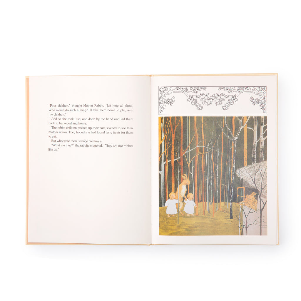 The Story of Rabbit Children by Sibylle von Olfers