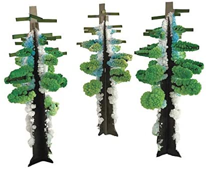 Crystal Growing Redwood Forest