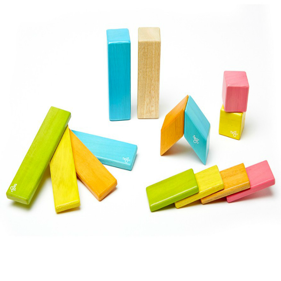 Tegu Tints Magnetic 14 Piece Block Set